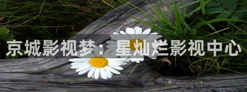 神馬影院達(dá)達(dá)兔91麻豆：京城影視夢：星燦爛影視中心